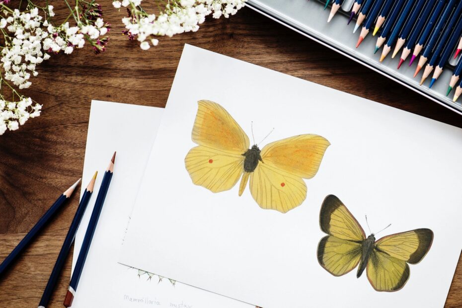 Schmetterling auf Papier gezeichnet der Symbolisch für Morbus Basedow und die Schilddrüse steht